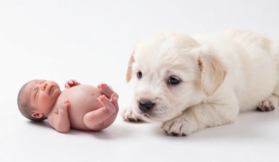 Blog:
BØRN OG  AKTIV DØDSHLÆLP